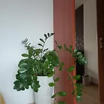 Pomaranczowa 아파트 *