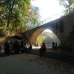 Pomaranczowa *