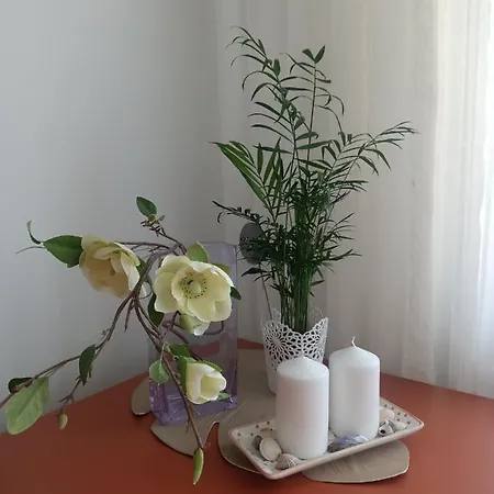 Daire Pomaranczowa *