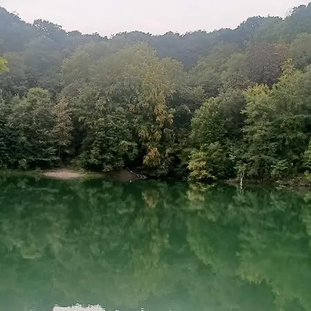 Pomaranczowa Daire Szczecin