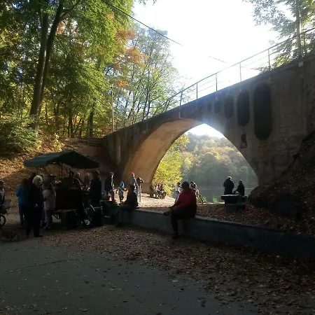 Pomaranczowa *