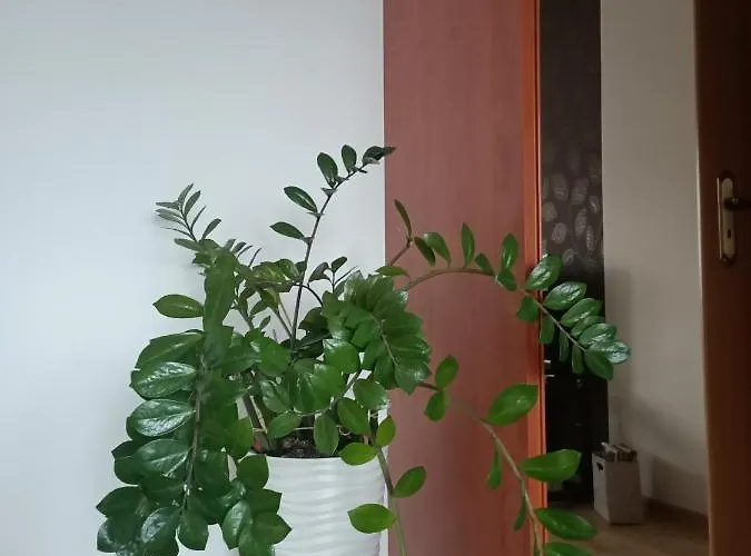 Pomaranczowa Διαμέρισμα *