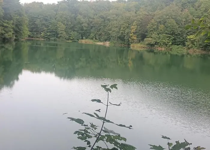 Pomaranczowa Lejlighed *