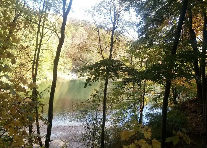 Pomaranczowa Στσέτσιν